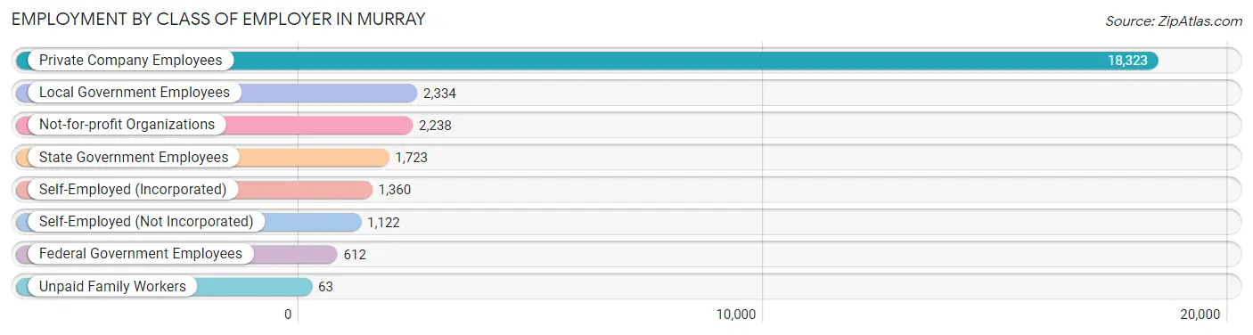 Employment by Class of Employer in Murray