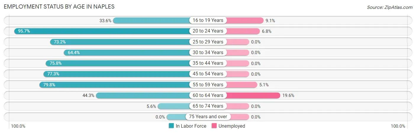 Employment Status by Age in Naples