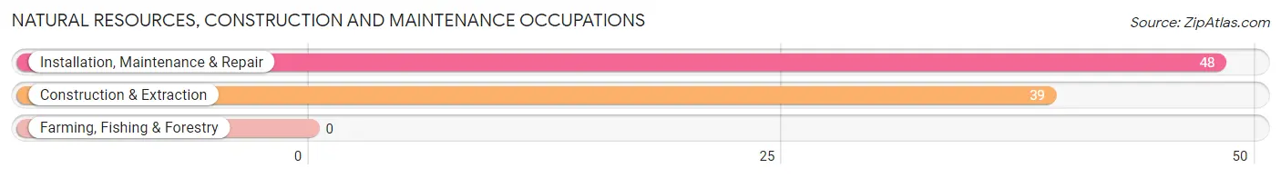 Natural Resources, Construction and Maintenance Occupations in Naples