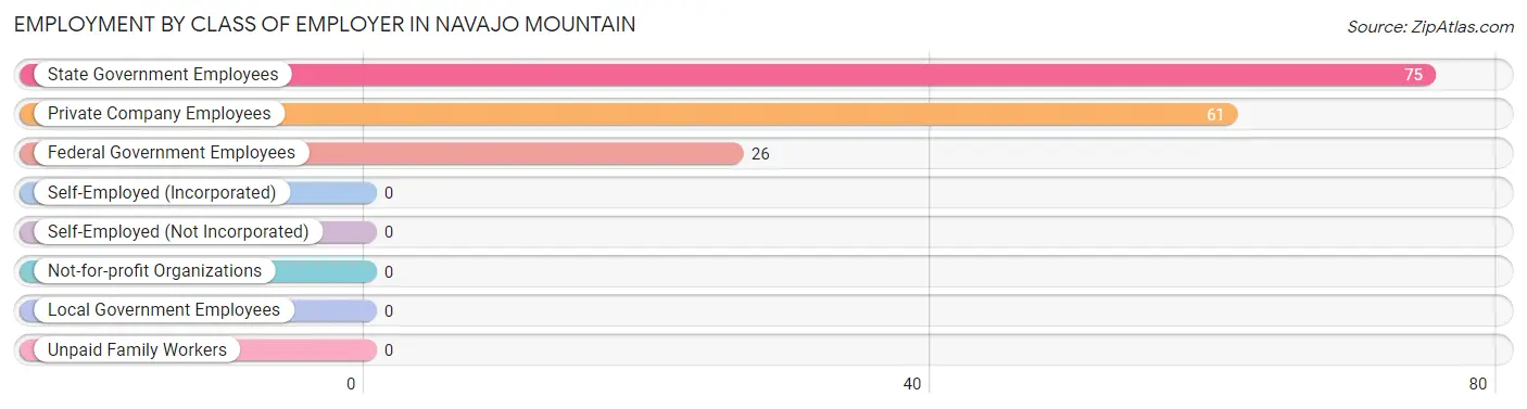 Employment by Class of Employer in Navajo Mountain