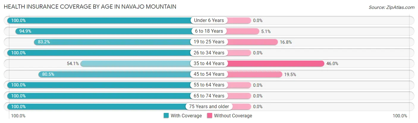 Health Insurance Coverage by Age in Navajo Mountain