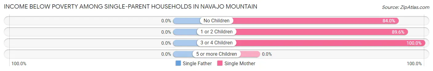Income Below Poverty Among Single-Parent Households in Navajo Mountain