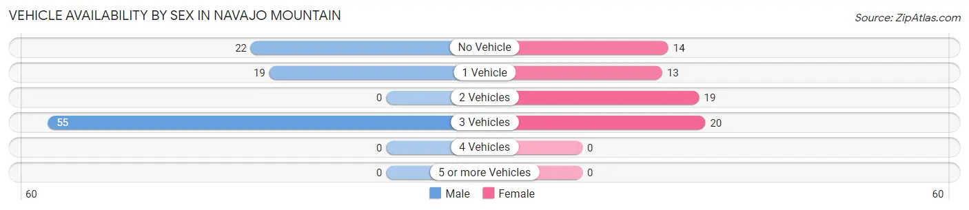 Vehicle Availability by Sex in Navajo Mountain