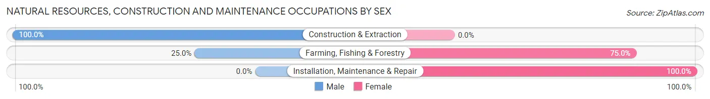Natural Resources, Construction and Maintenance Occupations by Sex in Neola
