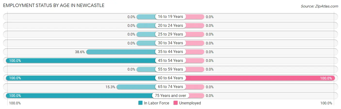 Employment Status by Age in Newcastle