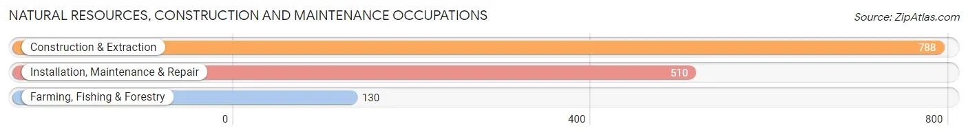 Natural Resources, Construction and Maintenance Occupations in Payson