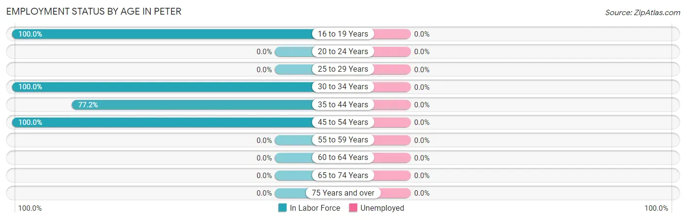 Employment Status by Age in Peter
