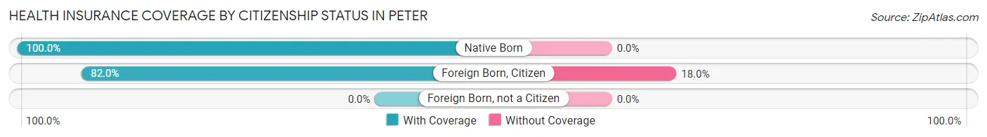 Health Insurance Coverage by Citizenship Status in Peter