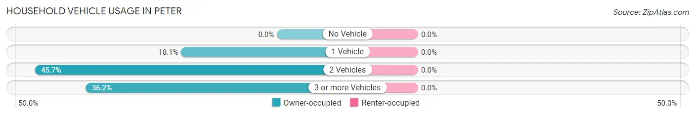 Household Vehicle Usage in Peter