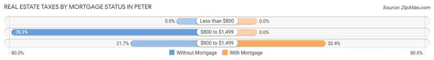 Real Estate Taxes by Mortgage Status in Peter