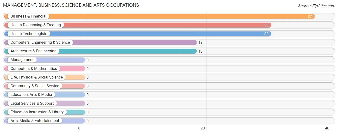 Management, Business, Science and Arts Occupations in Pine Valley