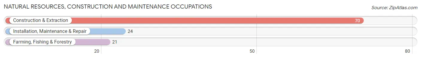 Natural Resources, Construction and Maintenance Occupations in Richmond