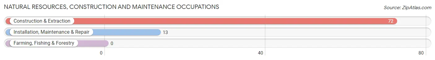 Natural Resources, Construction and Maintenance Occupations in River Heights