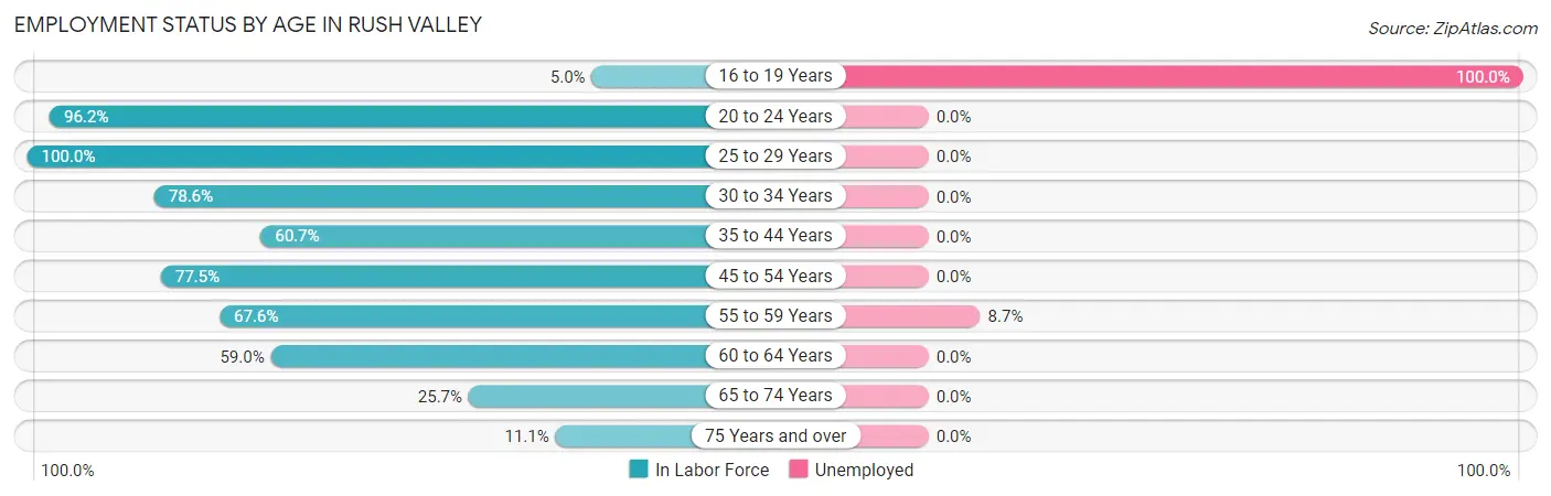 Employment Status by Age in Rush Valley