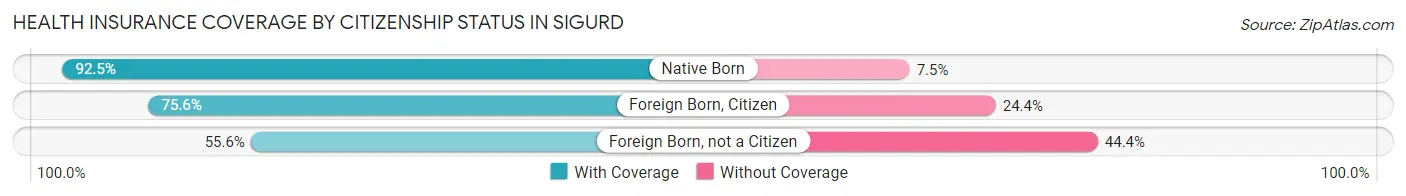 Health Insurance Coverage by Citizenship Status in Sigurd