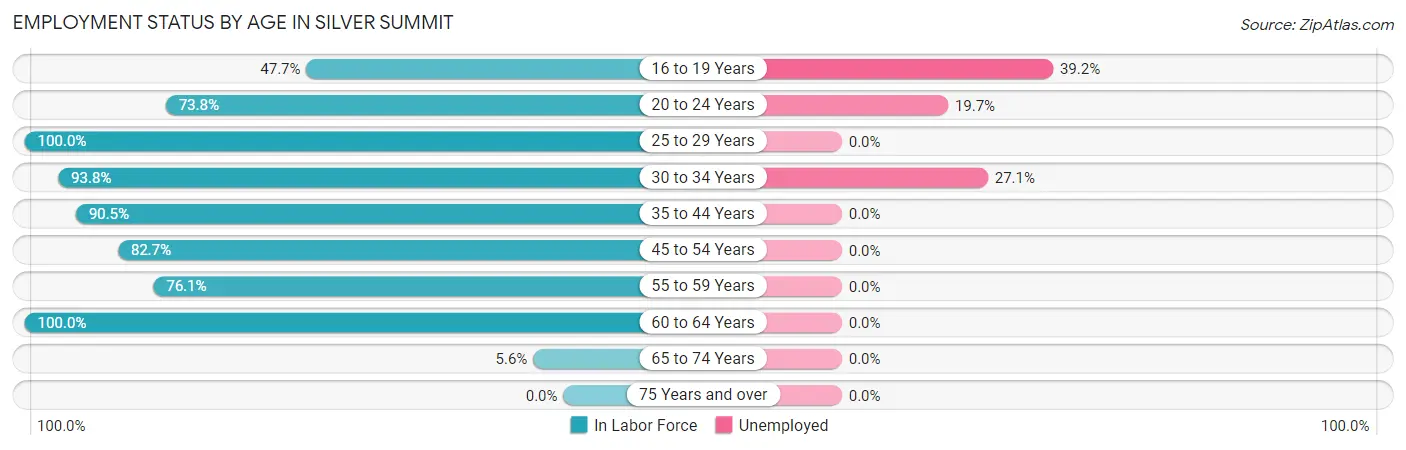 Employment Status by Age in Silver Summit