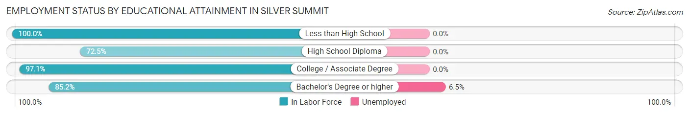 Employment Status by Educational Attainment in Silver Summit