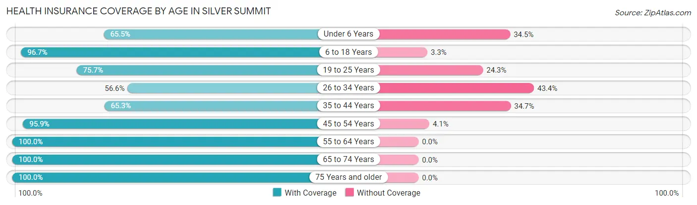 Health Insurance Coverage by Age in Silver Summit