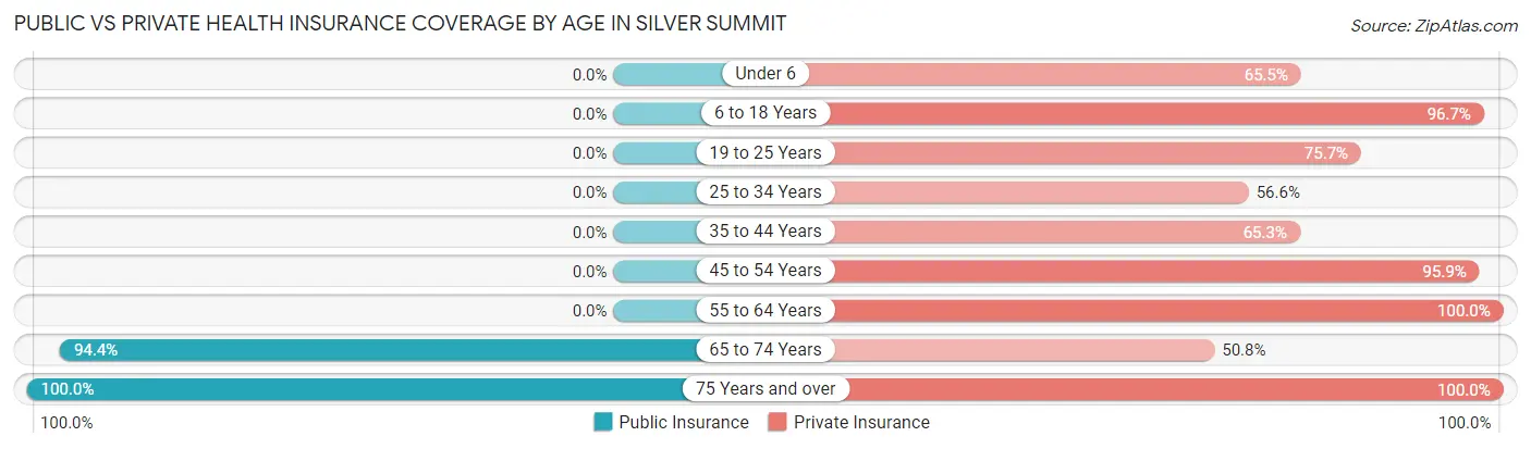 Public vs Private Health Insurance Coverage by Age in Silver Summit