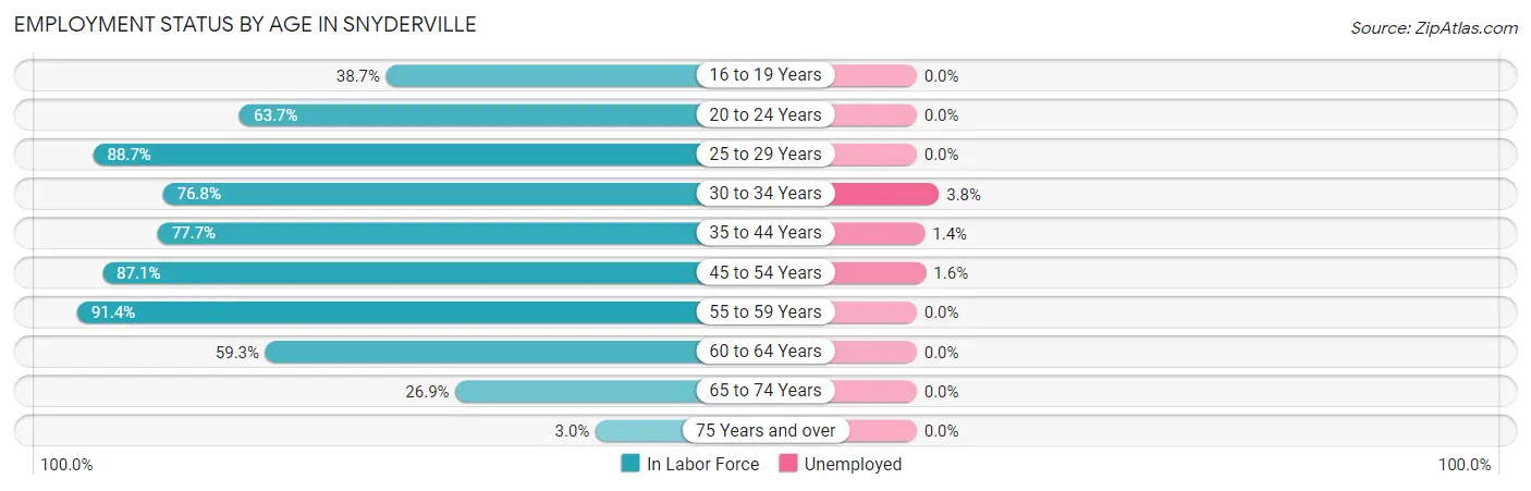 Employment Status by Age in Snyderville