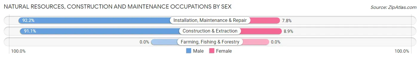 Natural Resources, Construction and Maintenance Occupations by Sex in South Jordan