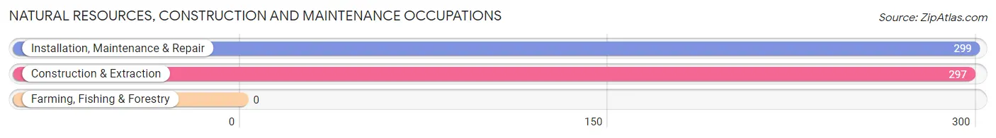 Natural Resources, Construction and Maintenance Occupations in South Ogden