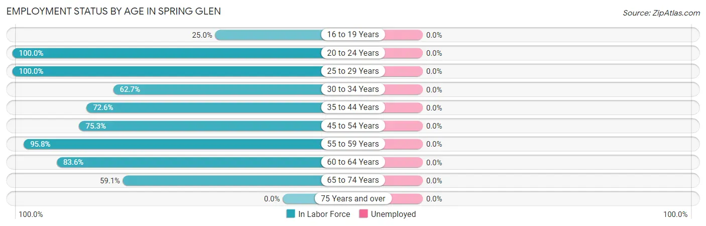 Employment Status by Age in Spring Glen