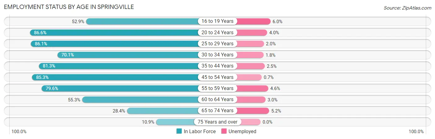 Employment Status by Age in Springville