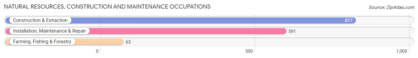 Natural Resources, Construction and Maintenance Occupations in Springville