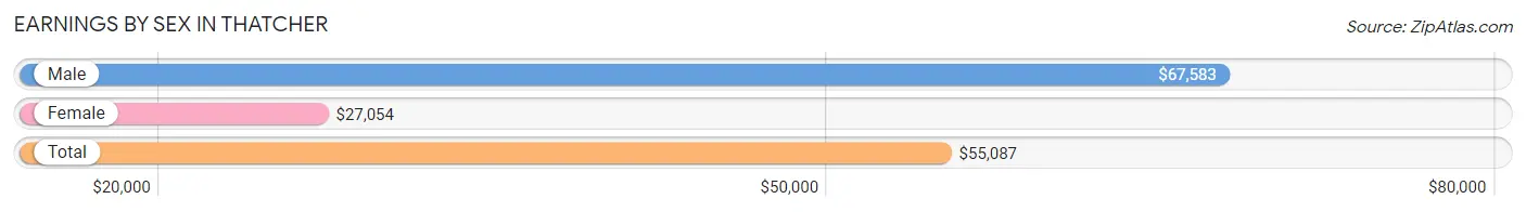 Earnings by Sex in Thatcher