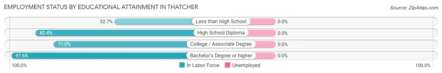 Employment Status by Educational Attainment in Thatcher