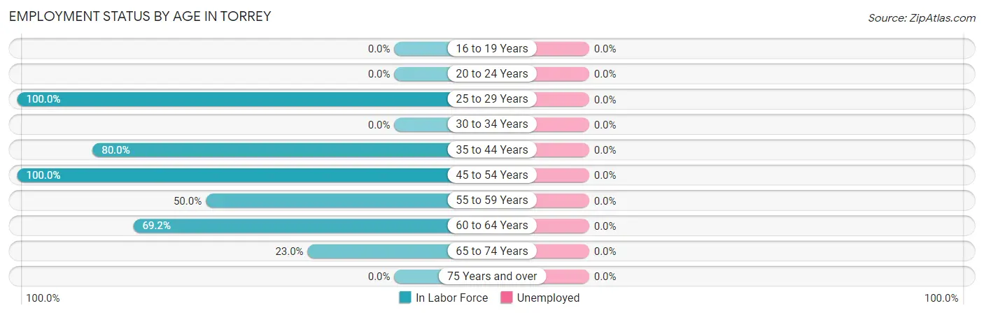 Employment Status by Age in Torrey