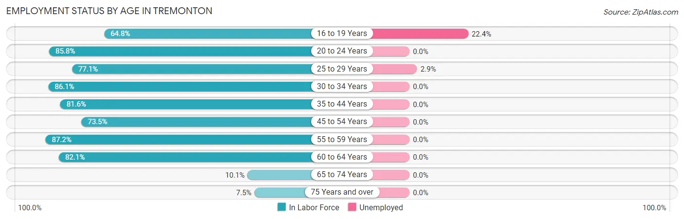 Employment Status by Age in Tremonton