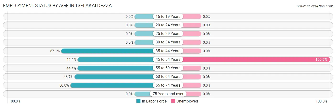Employment Status by Age in Tselakai Dezza