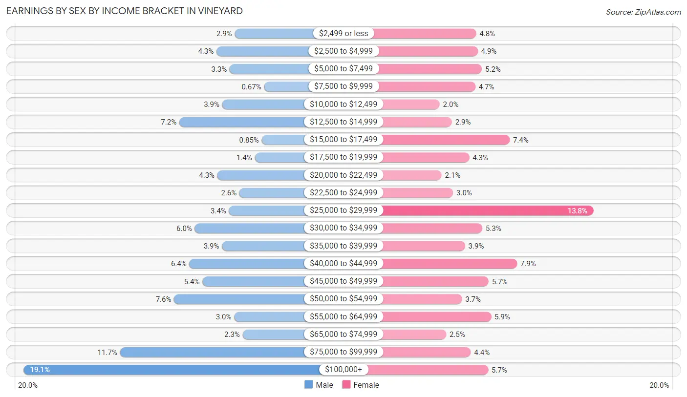 Earnings by Sex by Income Bracket in Vineyard