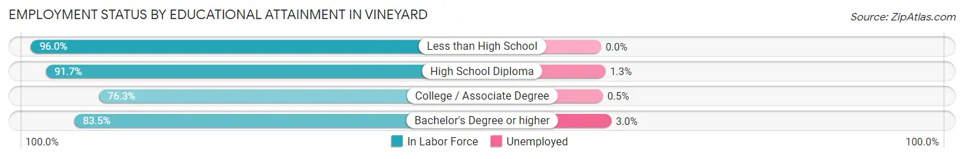 Employment Status by Educational Attainment in Vineyard