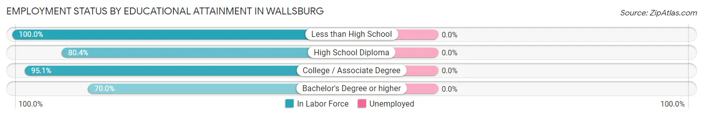 Employment Status by Educational Attainment in Wallsburg