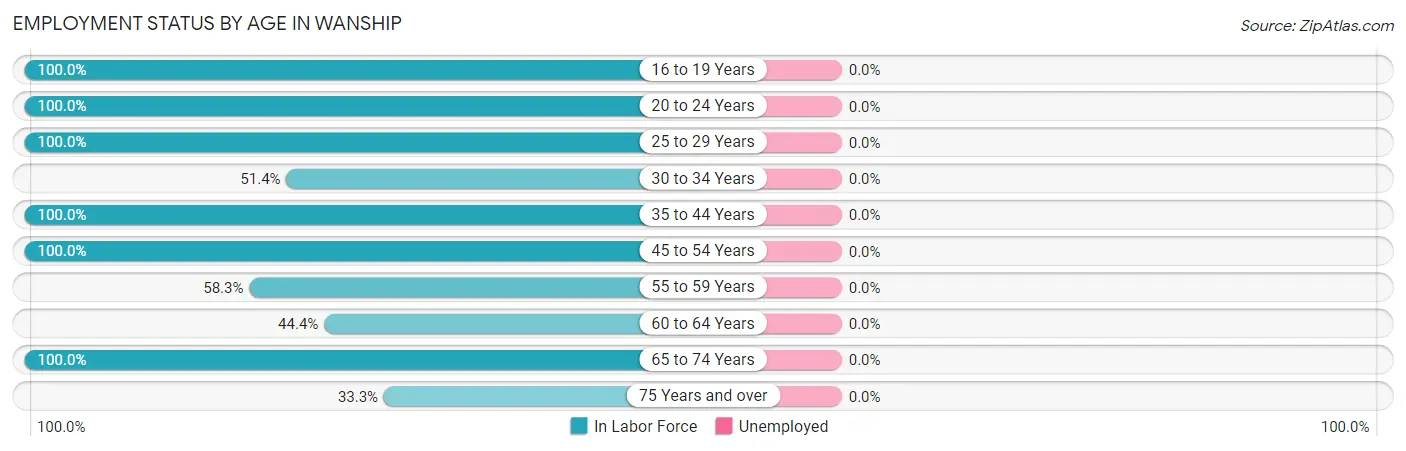Employment Status by Age in Wanship