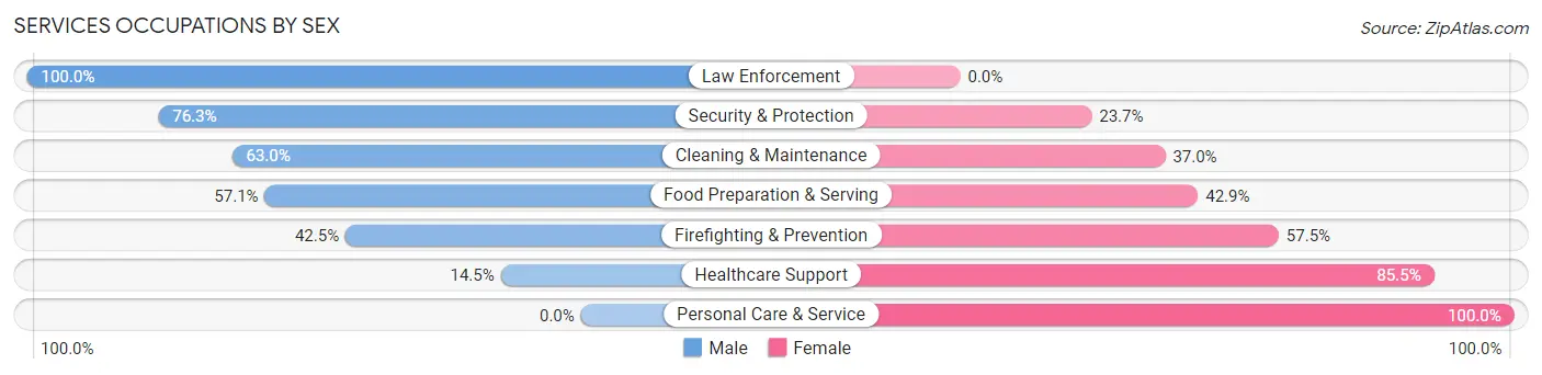 Services Occupations by Sex in Washington Terrace