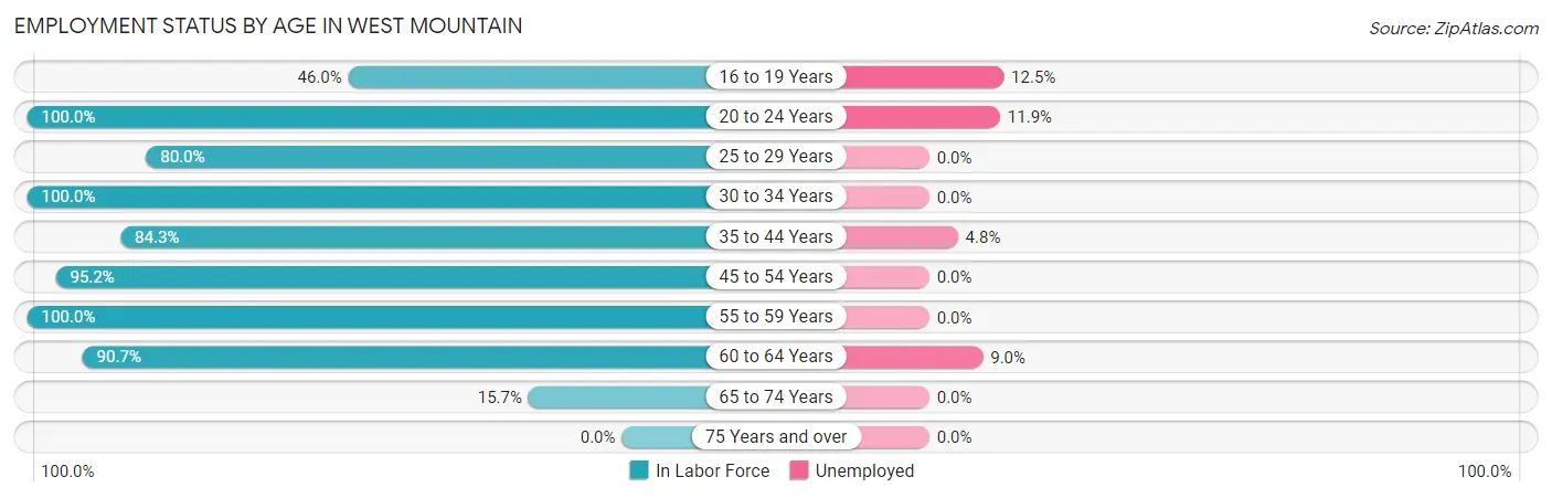 Employment Status by Age in West Mountain