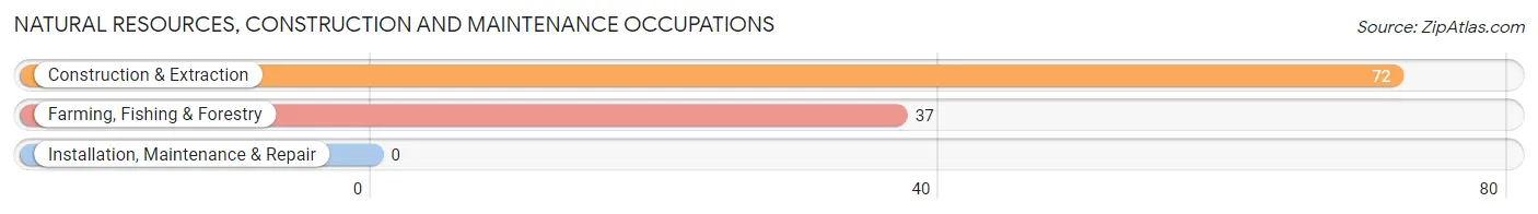 Natural Resources, Construction and Maintenance Occupations in West Mountain