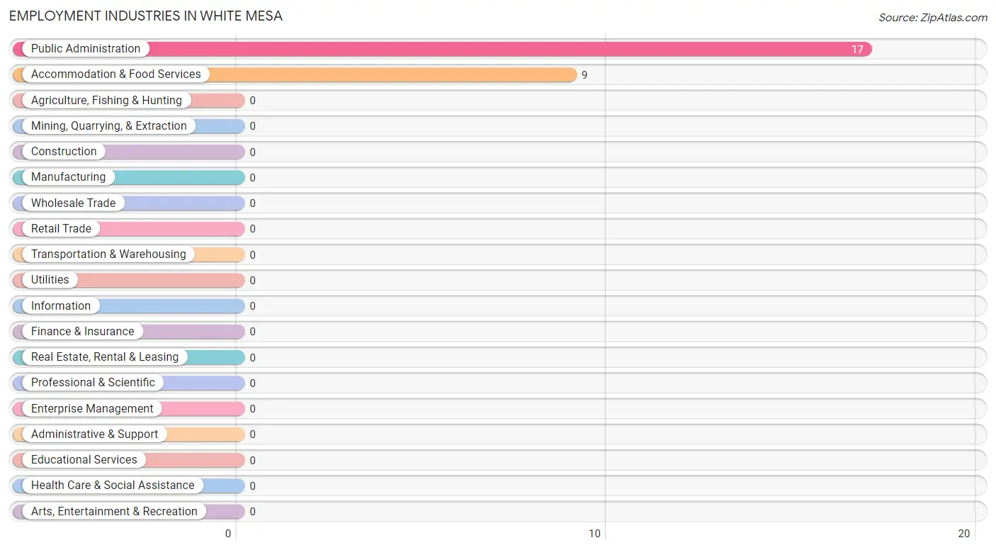 Employment Industries in White Mesa