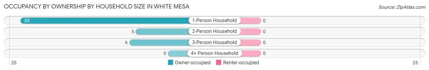 Occupancy by Ownership by Household Size in White Mesa