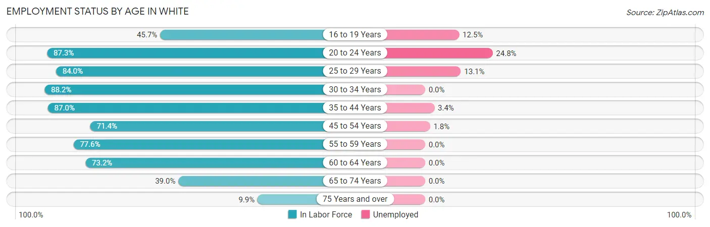 Employment Status by Age in White