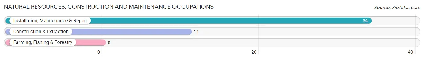 Natural Resources, Construction and Maintenance Occupations in Woodland Hills