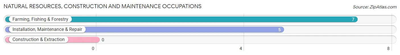 Natural Resources, Construction and Maintenance Occupations in Woodruff