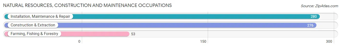 Natural Resources, Construction and Maintenance Occupations in Woods Cross