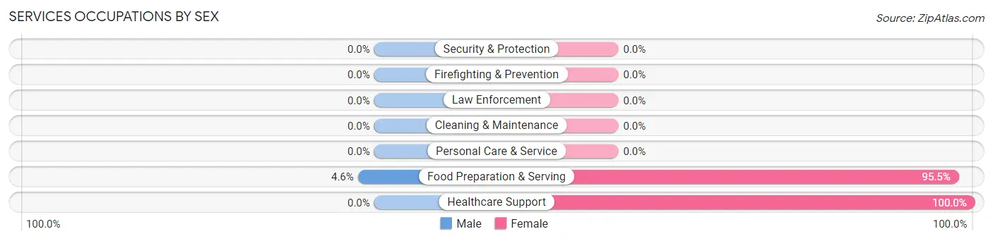 Services Occupations by Sex in Accomac