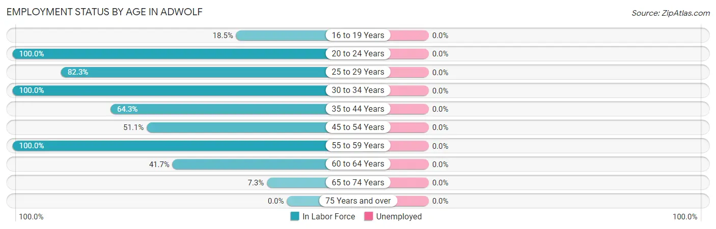 Employment Status by Age in Adwolf