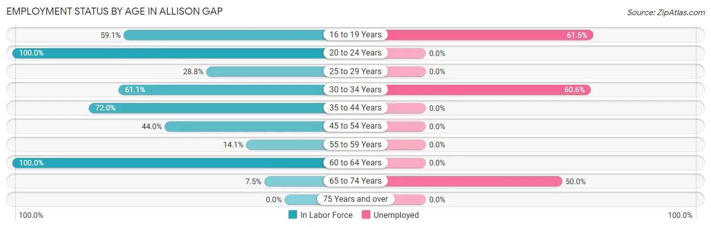 Employment Status by Age in Allison Gap